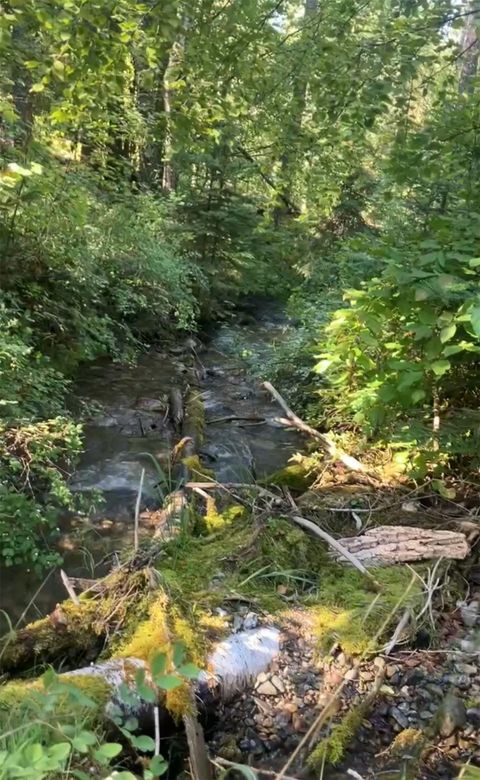 Tiny photo for 100/110 Browns Gulch Road, Kalispell, MT 59901 (MLS # 30051694)