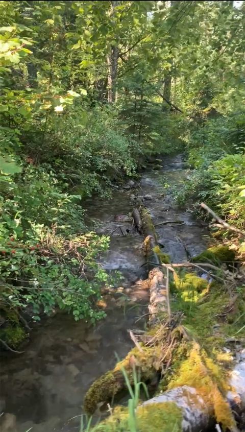 Tiny photo for 100/110 Browns Gulch Road, Kalispell, MT 59901 (MLS # 30051694)