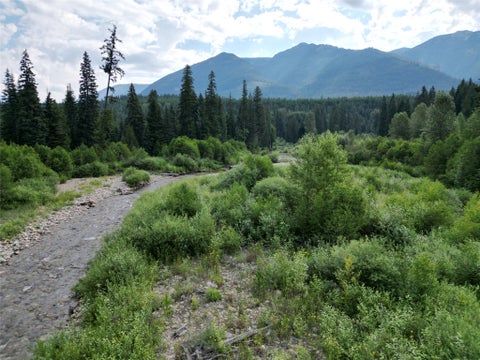 Tiny photo for 177 Double Creek Lane, Troy, MT 59935 (MLS # 30075457)