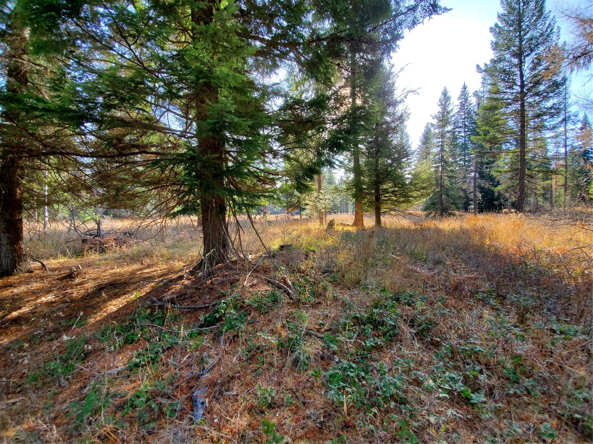 177 Double Creek Lane