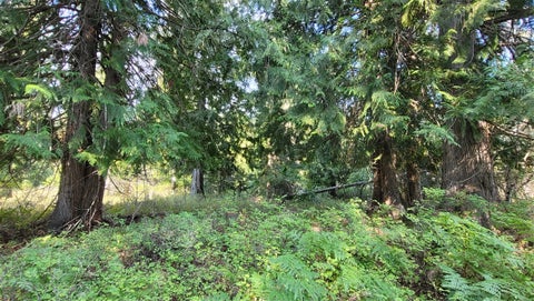 Tiny photo for 177 Double Creek Lane, Troy, MT 59935 (MLS # 30075457)