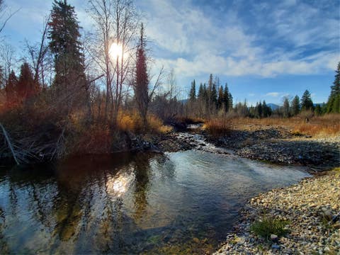 Photo of 177 Double Creek Lane, Troy, MT 59935 (MLS # 30075457)