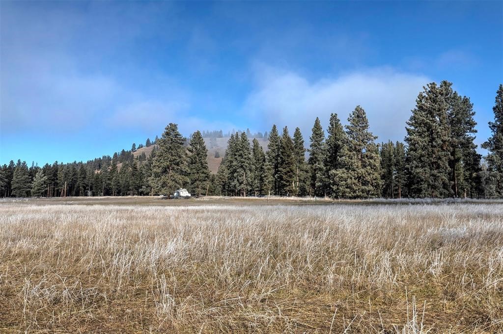 (Lot #3) 13442 Vannoy Lane
