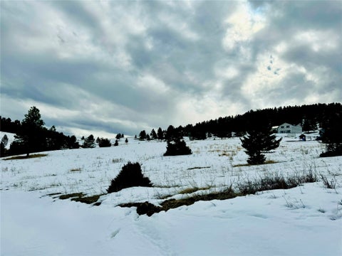 Tiny photo for 16 Mule Trail Road, Clancy, MT 59634 (MLS # 30076551)