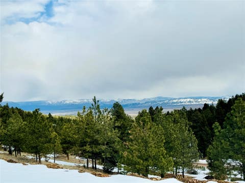 Tiny photo for 16 Mule Trail Road, Clancy, MT 59634 (MLS # 30076551)