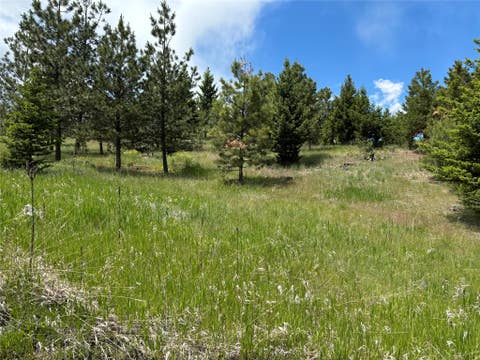 Tiny photo for 16 Mule Trail Road, Clancy, MT 59634 (MLS # 30076551)