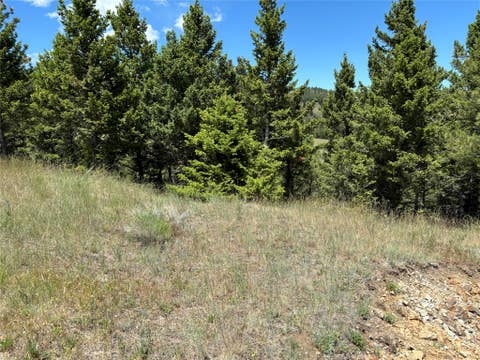 Tiny photo for 16 Mule Trail Road, Clancy, MT 59634 (MLS # 30076551)