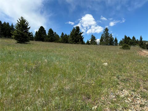 Tiny photo for 16 Mule Trail Road, Clancy, MT 59634 (MLS # 30076551)