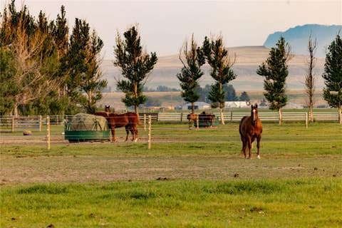 Tiny photo for 14013 MT-21, Simms, MT 59477 (MLS # 30076926)
