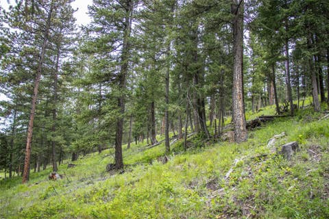 Tiny photo for NHN Idaho Hill Road, Marion, MT 59925 (MLS # 30073388)