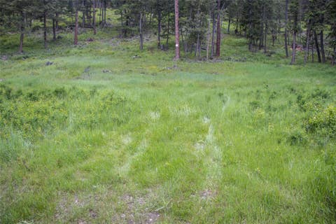 Tiny photo for NHN Idaho Hill Road, Marion, MT 59925 (MLS # 30073388)
