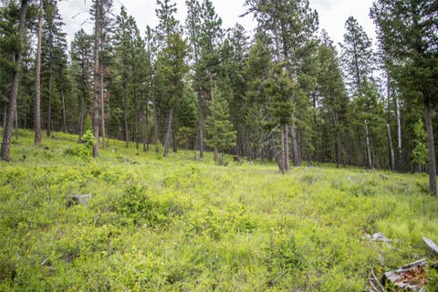Tiny photo for NHN Idaho Hill Road, Marion, MT 59925 (MLS # 30073388)