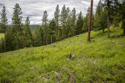 Tiny photo for NHN Idaho Hill Road, Marion, MT 59925 (MLS # 30073388)