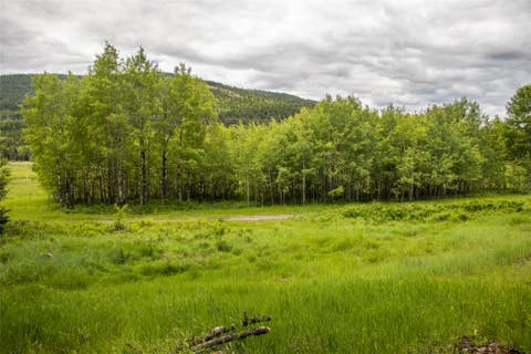 Tiny photo for NHN Idaho Hill Road, Marion, MT 59925 (MLS # 30073388)