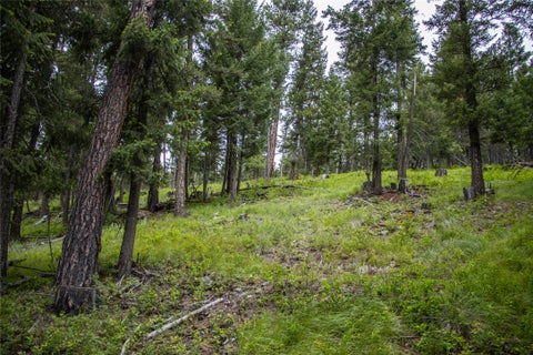 Tiny photo for NHN Idaho Hill Road, Marion, MT 59925 (MLS # 30073388)