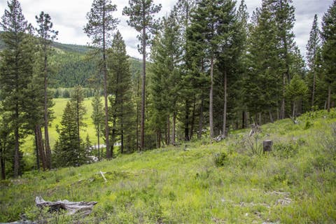 Tiny photo for NHN Idaho Hill Road, Marion, MT 59925 (MLS # 30073388)