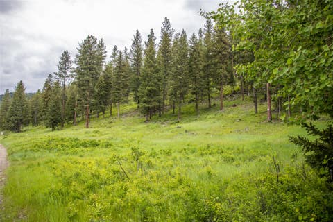 Tiny photo for NHN Idaho Hill Road, Marion, MT 59925 (MLS # 30073388)