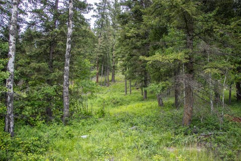 Tiny photo for NHN Idaho Hill Road, Marion, MT 59925 (MLS # 30073388)
