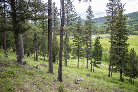 Tiny photo for NHN Idaho Hill Road, Marion, MT 59925 (MLS # 30073388)