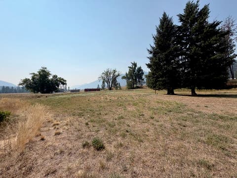 Tiny photo for NKA McKinley Avenue #Lot 35, Superior, MT 59872 (MLS # 30076525)