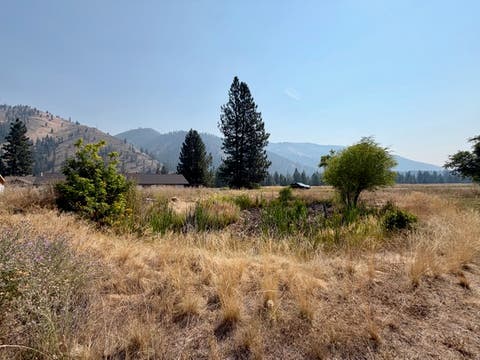 Tiny photo for NKA McKinley Avenue #Lot 35, Superior, MT 59872 (MLS # 30076525)
