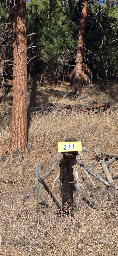 Photo of 10 Tobacco Root Lane, Whitehall, MT 59759 (MLS # 30066402)