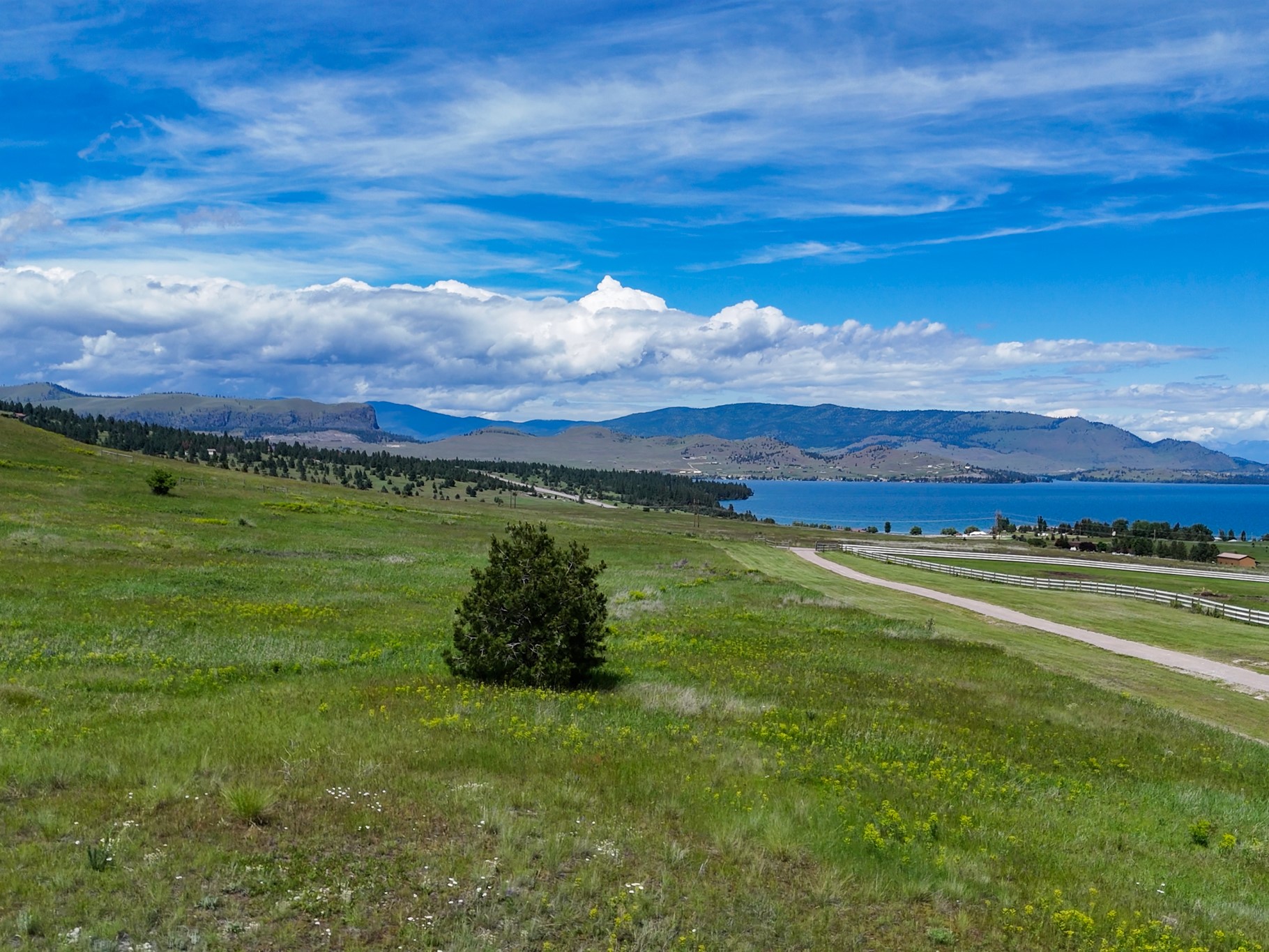 NHN Wild Horse View