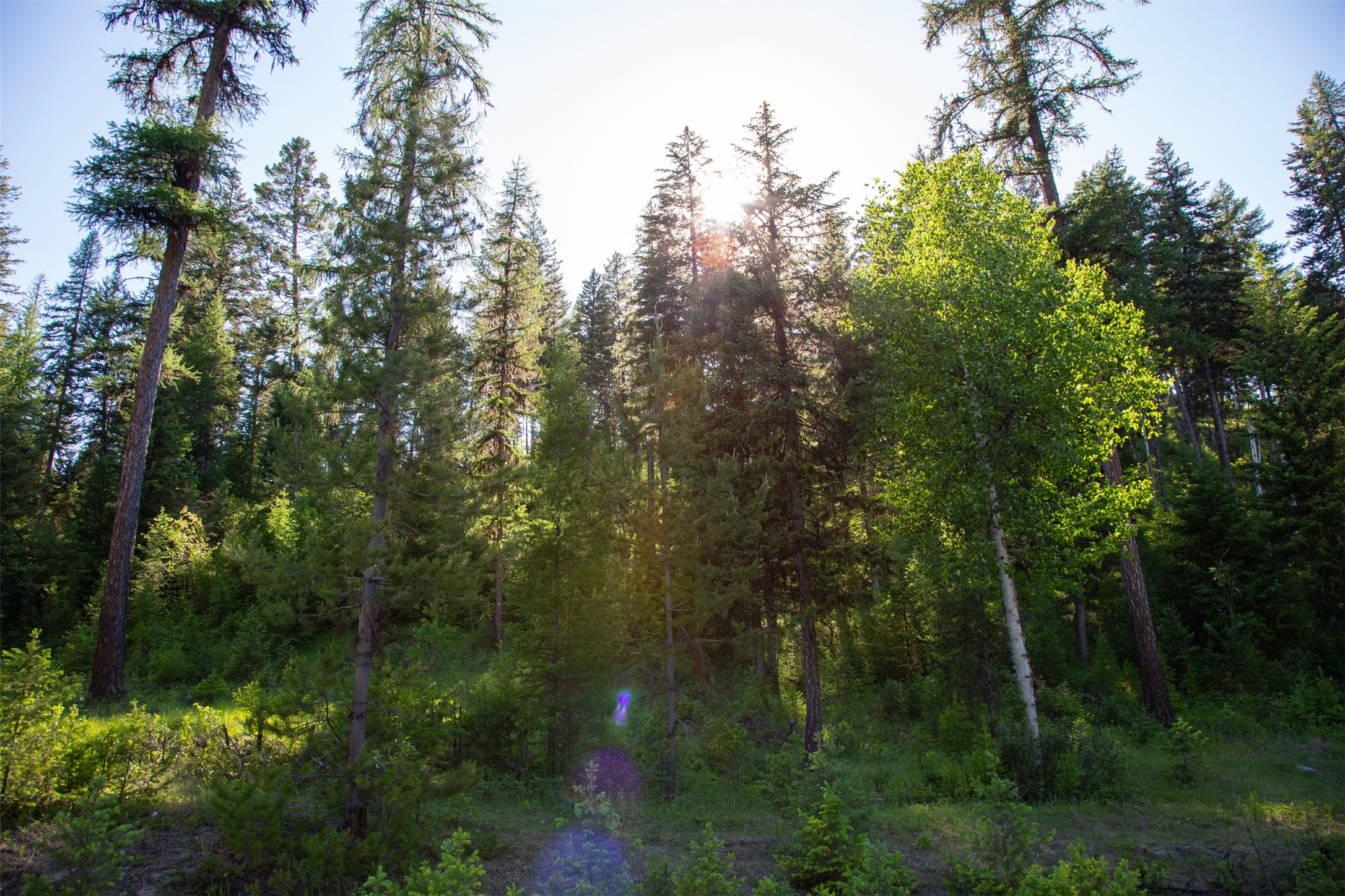 TBD Skyline Ridge Ranch Road Lot 22 PH3
