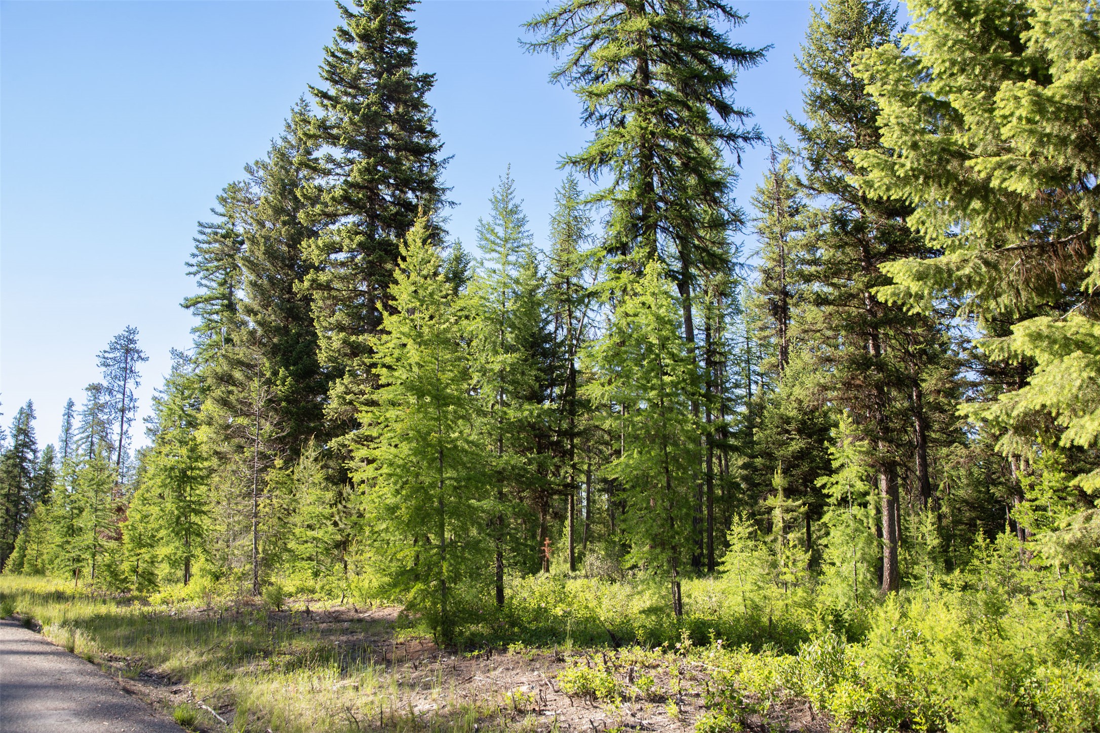 TBD Skyline Ridge Ranch Road Lot 22 PH3
