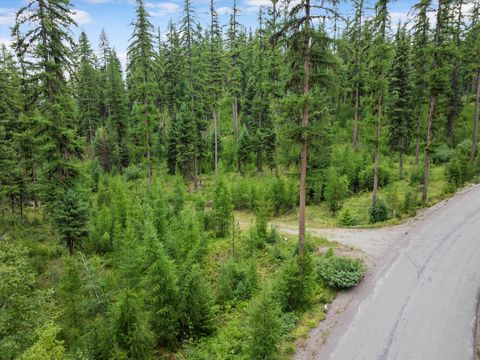 Tiny photo for 2265 Mountain Home Road, Whitefish, MT 59937 (MLS # 30066144)