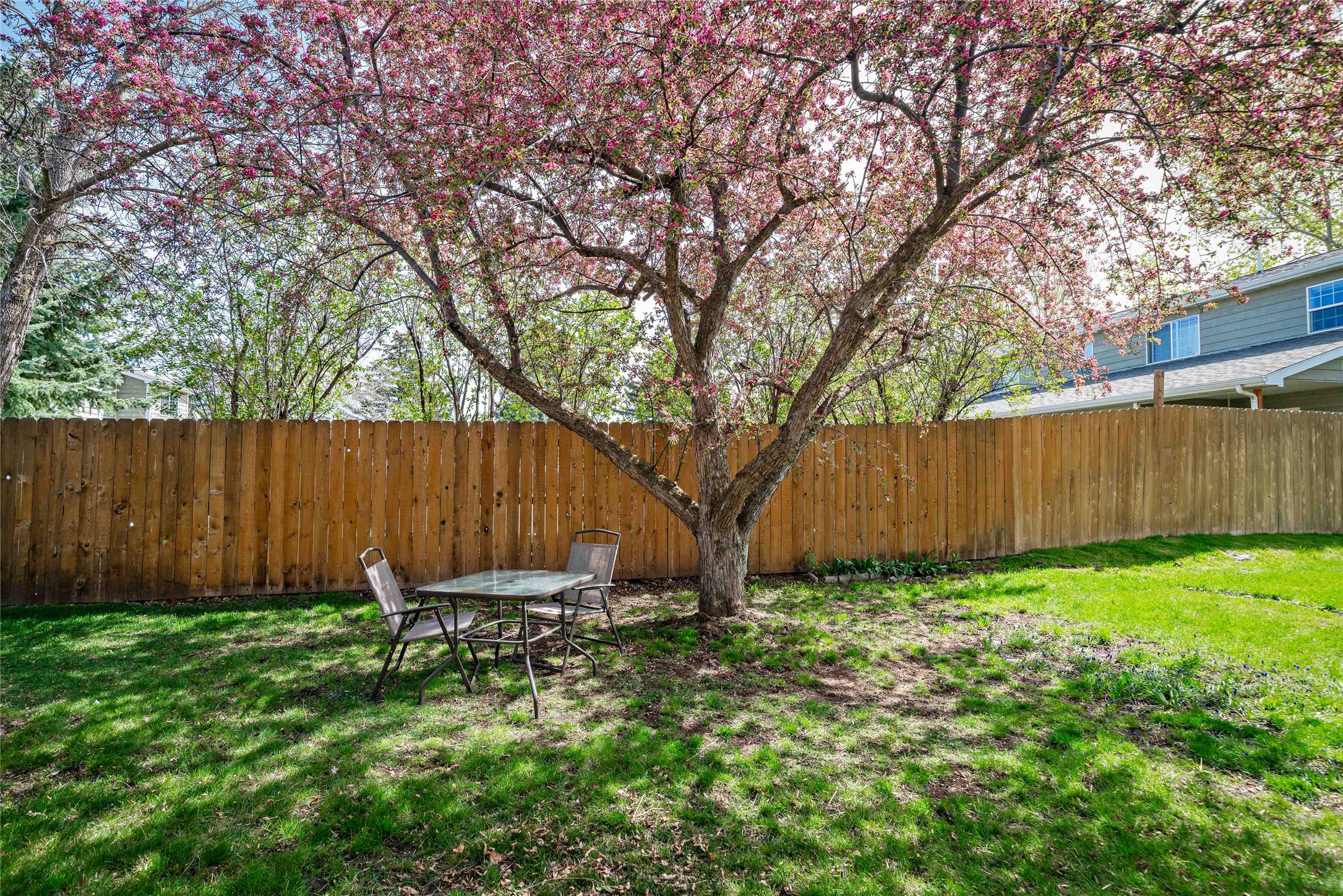 206 Pioneer Drive 44