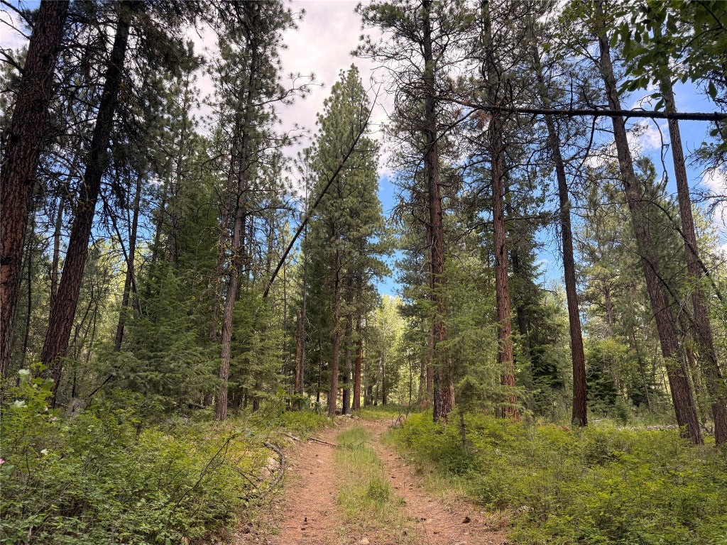 Photo of 512 Lookout Trail, Stevensville, MT 59870 (MLS # 30064082)