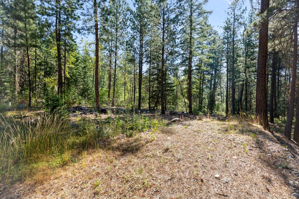 Photo of 512 Lookout Trail, Stevensville, MT 59870 (MLS # 30064082)