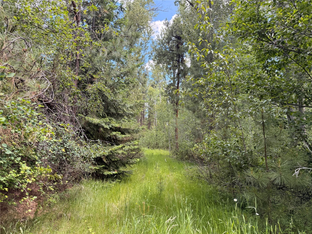 Photo of 512 Lookout Trail, Stevensville, MT 59870 (MLS # 30064082)
