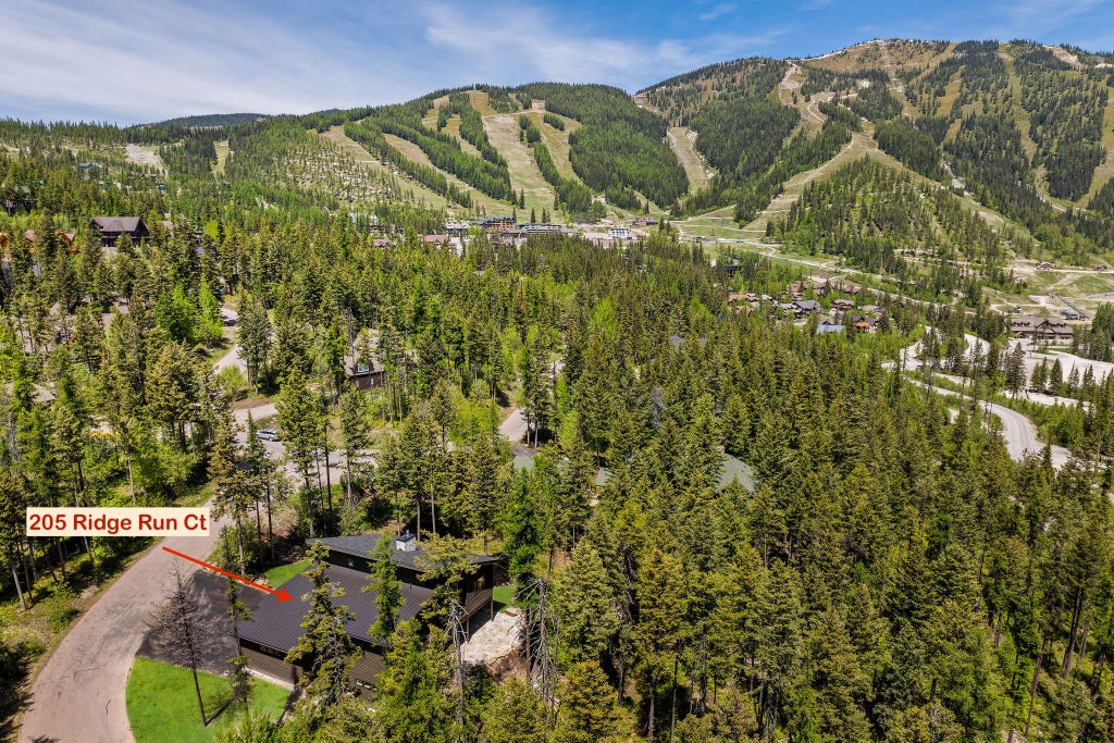 Photo of 205 Ridge Run Court, Whitefish, MT 59937 (MLS # 30079189)
