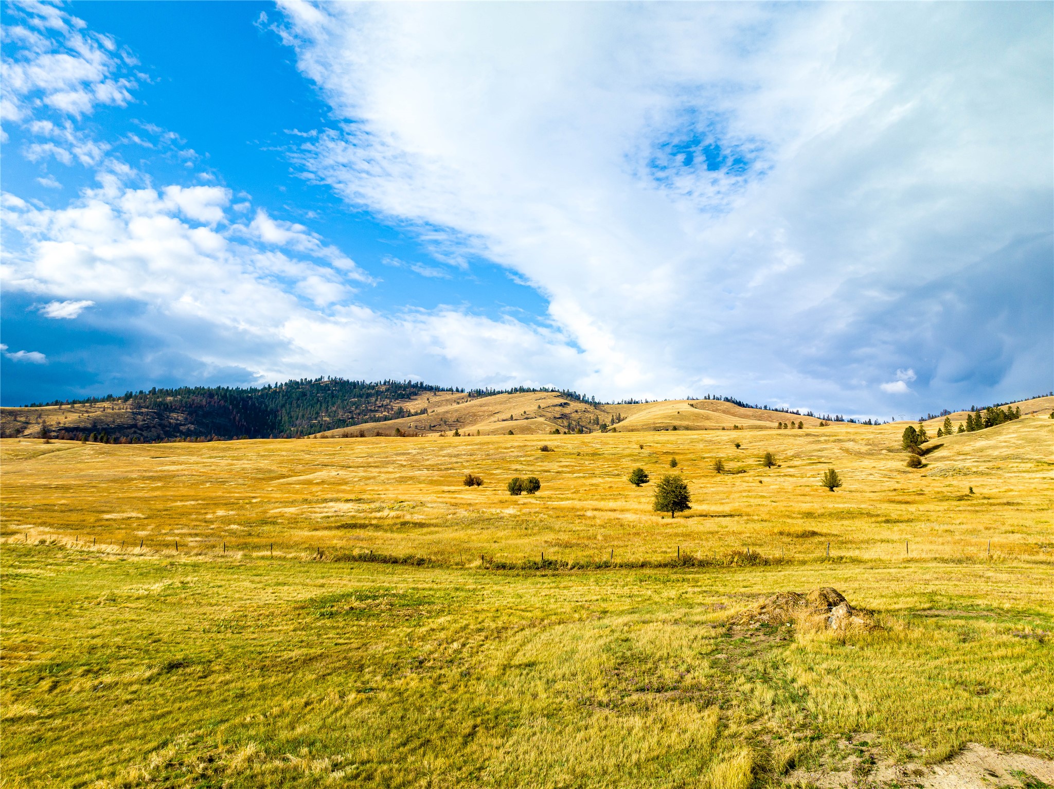 Elmo, Montana 59915, United States, 3 Bedrooms Bedrooms, ,3 BathroomsBathrooms,Residential,Active,187811