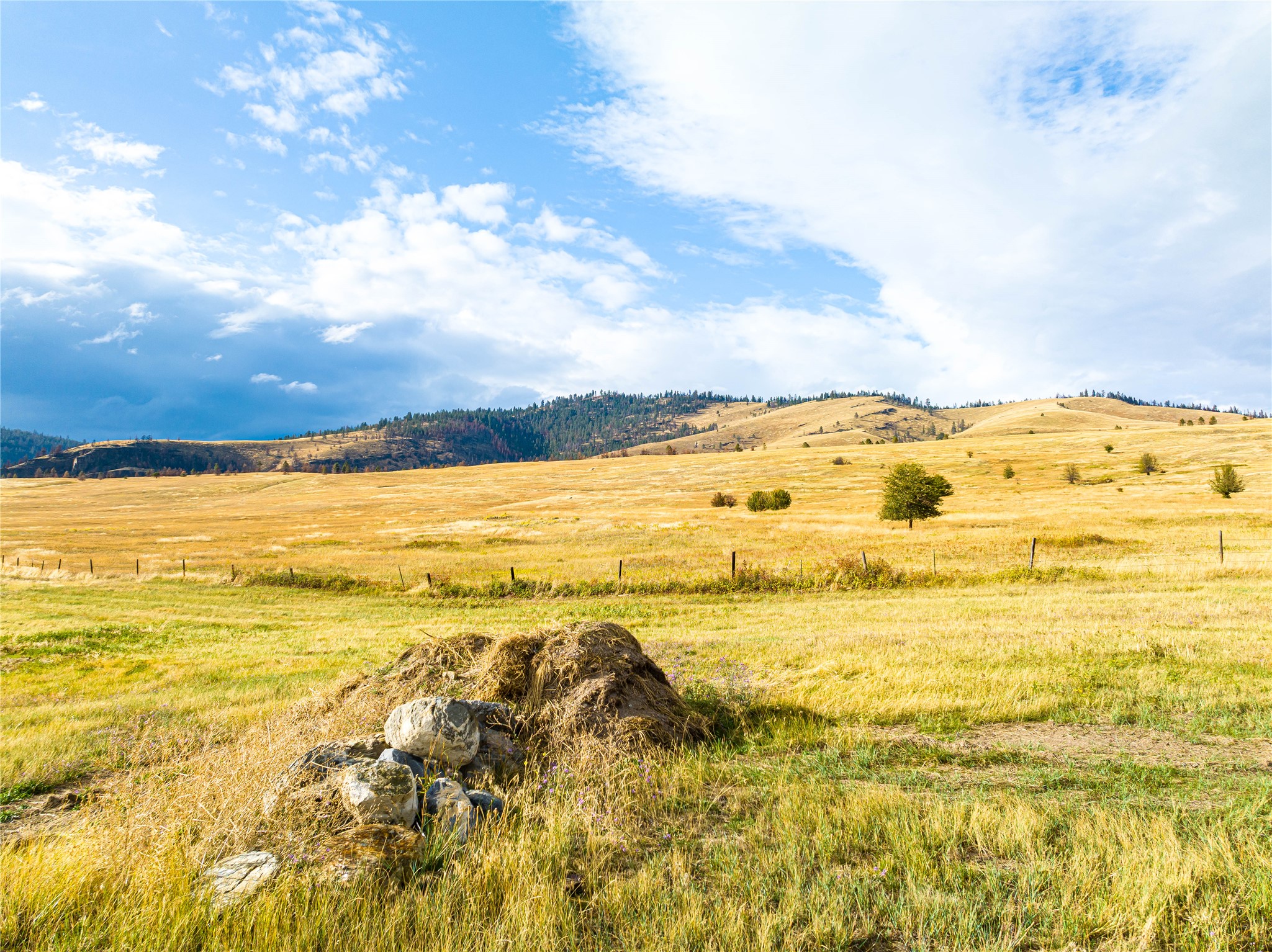 Elmo, Montana 59915, United States, 3 Bedrooms Bedrooms, ,3 BathroomsBathrooms,Residential,Active,187811