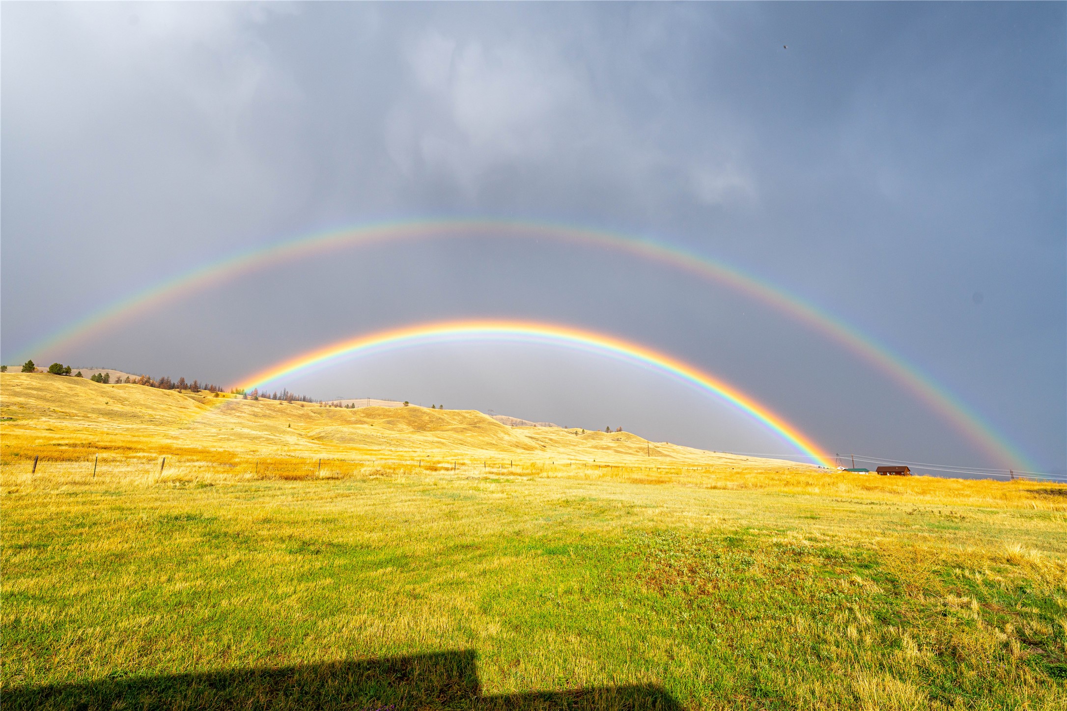 Elmo, Montana 59915, United States, 3 Bedrooms Bedrooms, ,3 BathroomsBathrooms,Residential,Active,187811