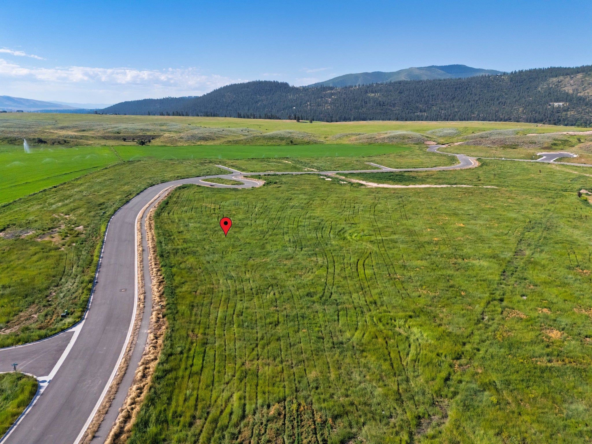 9739 Royal Coachman Drive