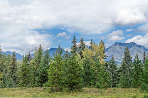 Tiny photo for 14000 North Fork Road, Polebridge, MT 59928 (MLS # 30072514)
