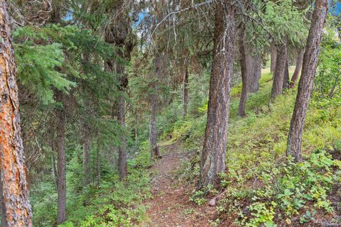 Tiny photo for 14000 North Fork Road, Polebridge, MT 59928 (MLS # 30072514)