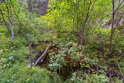 Tiny photo for 14000 North Fork Road, Polebridge, MT 59928 (MLS # 30072514)