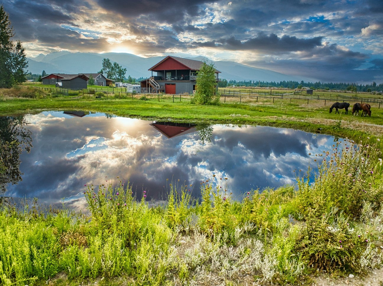 377 Tushapaw Rd, Victor, MT, 59875, USA, 4 Bedrooms Bedrooms, ,3 BathroomsBathrooms,Residential,Active,377 Tushapaw Rd,30072752