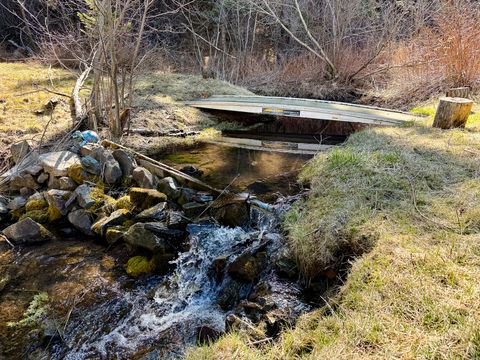 Photo of 4220 Denton Gulch Road, Wolf Creek, MT 59648 (MLS # 30069046)