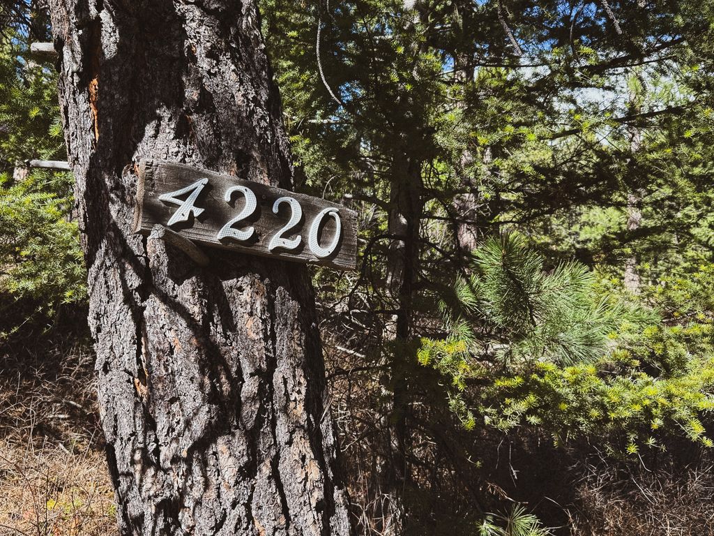 Photo of 4220 Denton Gulch Road, Wolf Creek, MT 59648 (MLS # 30069046)