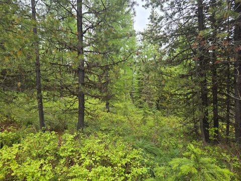 Tiny photo for Tract 18 Nine Mile Road, Huson, MT 59846 (MLS # 30071320)