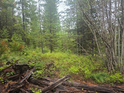 Photo of Tract 18 Nine Mile Road, Huson, MT 59846 (MLS # 30071320)