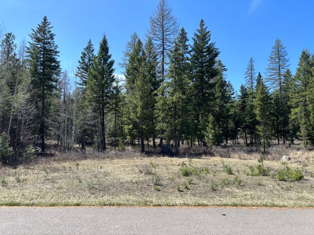 Photo of 238 Haskill Ranch Road #Lot-1, Kila, MT 59920 (MLS # 30069571)