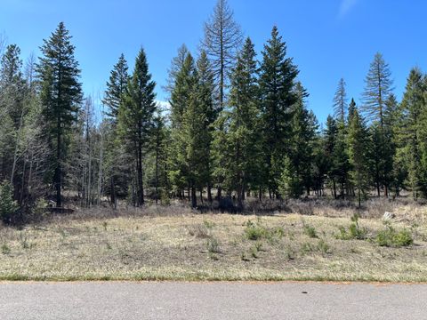 Photo of 238 Haskill Ranch Road #Lot-1, Kila, MT 59920 (MLS # 30069571)