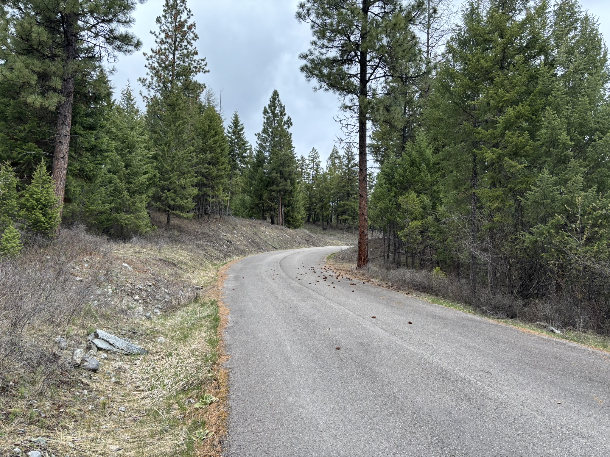 238 Haskill Ranch Road Lot-1